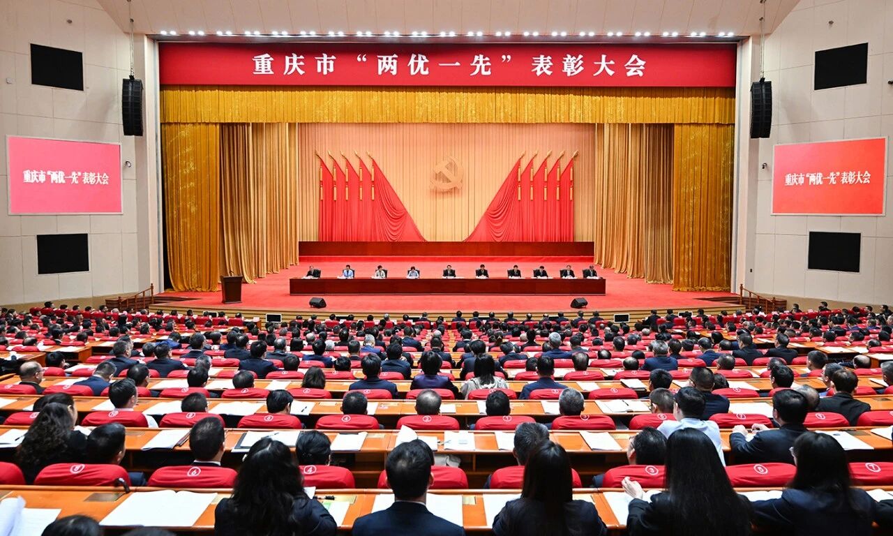 中科摇橹船党支部获评重庆市先进基层党组织